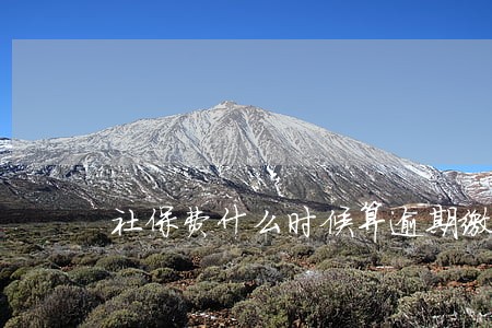 社保费什么时候算逾期缴费了 社保费什么时候算逾期缴费了