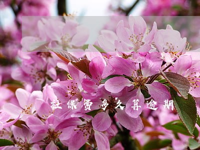 社保费多久算逾期 社保费多久算逾期