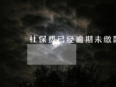 社保费已经逾期未缴款怎么办 社保费已经逾期未缴款怎么办