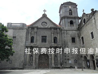 社保费按时申报但逾期扣费 社保费按时申报但逾期扣费