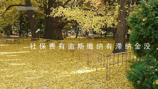 社保费有逾期缴纳有滞纳金没 社保费有逾期缴纳有滞纳金没