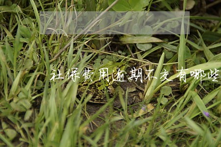 社保费用逾期不交有哪些后果 社保费用逾期不交有哪些后果