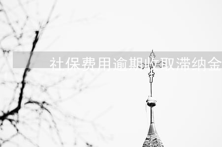 社保费用逾期收取滞纳金怎么办