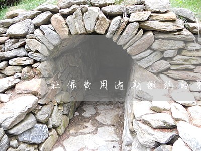 社保费用逾期缴纳的影响 社保费用逾期缴纳的影响