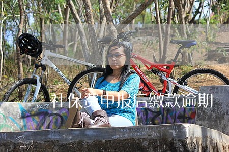社保费申报后缴款逾期 社保费申报后缴款逾期