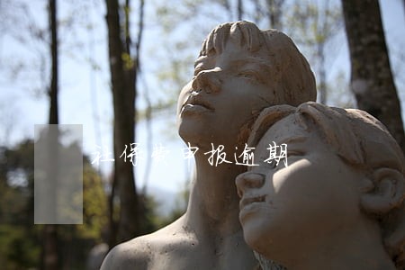社保费申报逾期 社保费申报逾期