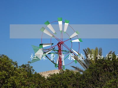 社保费申报逾期如何网上补申报 社保费申报逾期如何网上补申报