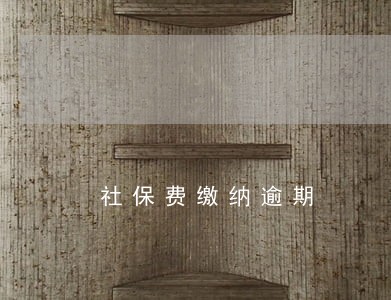 社保费缴纳逾期 社保费缴纳逾期