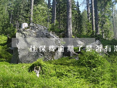 社保费逾期了是否有滞纳金 社保费逾期了是否有滞纳金