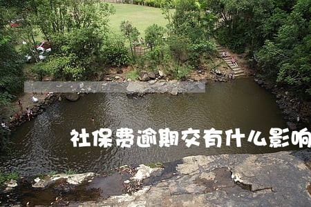社保费逾期交有什么影响 社保费逾期交有什么影响