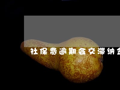 社保费逾期会交滞纳金吗 社保费逾期会交滞纳金吗