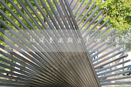 社保费逾期会影响公司吗 社保费逾期会影响公司吗