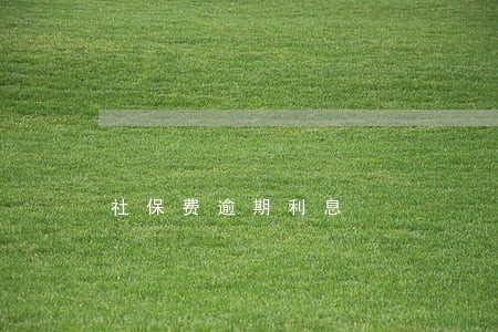 社保费逾期利息 社保费逾期利息