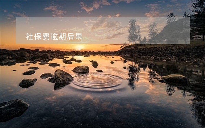 社保费逾期后果 社保费逾期后果