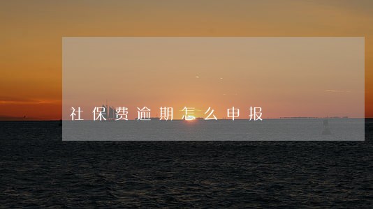 社保费逾期怎么申报 社保费逾期怎么申报