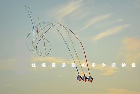 社保费逾期扣多少滞纳金