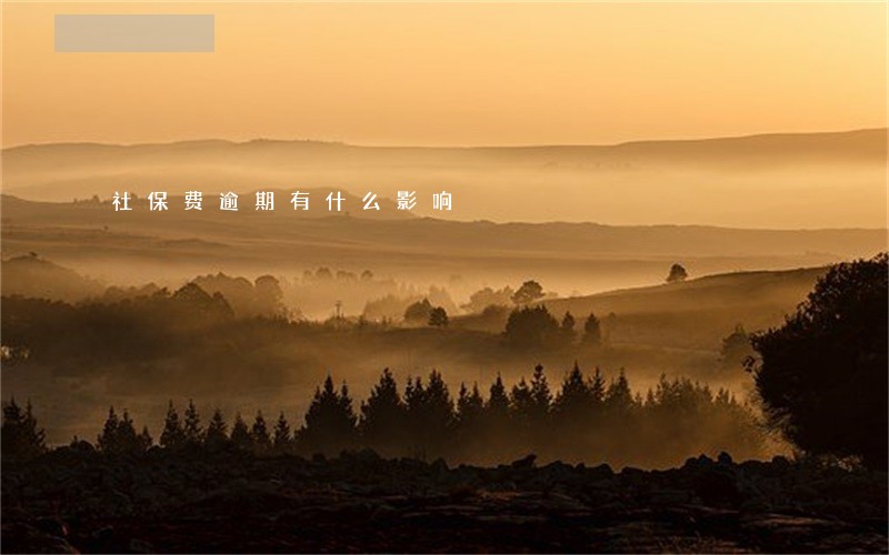 社保费逾期有什么影响 社保费逾期有什么影响