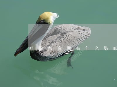 社保费逾期有什么影响吗