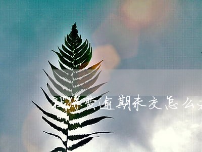 社保费逾期未交怎么办 社保费逾期未交怎么办