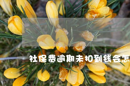 社保费逾期未扣到钱会怎样 社保费逾期未扣到钱会怎样