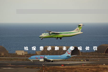 社保费逾期未申报处罚 社保费逾期未申报处罚