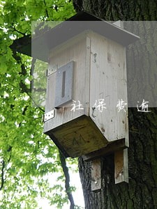 社保费逾期未申报怎么办 社保费逾期未申报怎么办