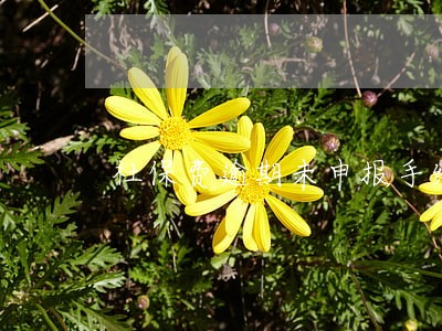 社保费逾期未申报手续 社保费逾期未申报手续