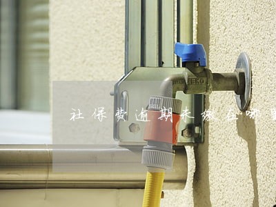 社保费逾期未缴在哪里补缴