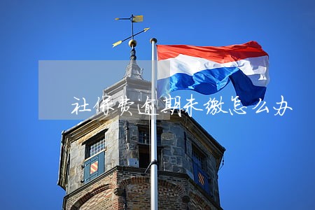 社保费逾期未缴怎么办 社保费逾期未缴怎么办