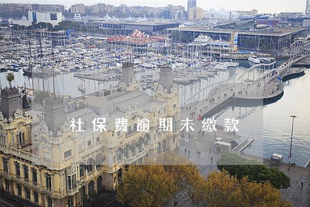 社保费逾期未缴款 社保费逾期未缴款