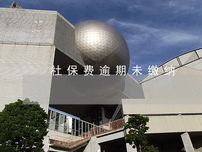 社保费逾期未缴纳 社保费逾期未缴纳