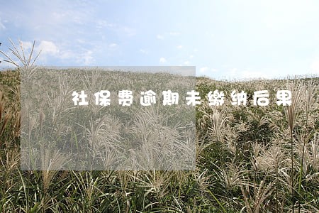 社保费逾期未缴纳后果 社保费逾期未缴纳后果