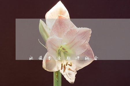 社保费逾期滞纳金 社保费逾期滞纳金