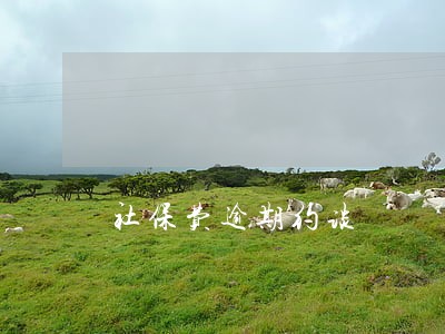 社保费逾期约谈 社保费逾期约谈