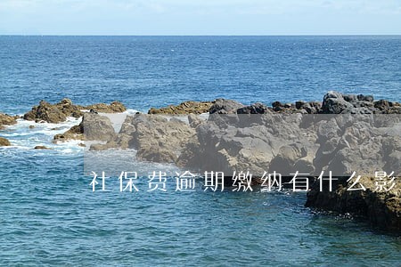 社保费逾期缴纳有什么影响 社保费逾期缴纳有什么影响