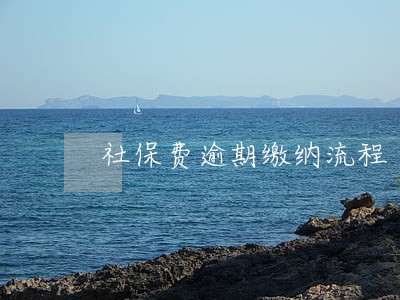 社保费逾期缴纳流程 社保费逾期缴纳流程