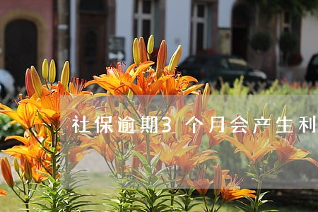 社保逾期3个月会产生利息吗