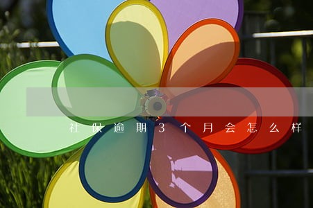 社保逾期3个月会怎么样