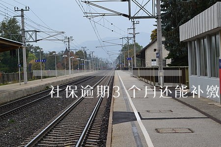 社保逾期3个月还能补缴吗