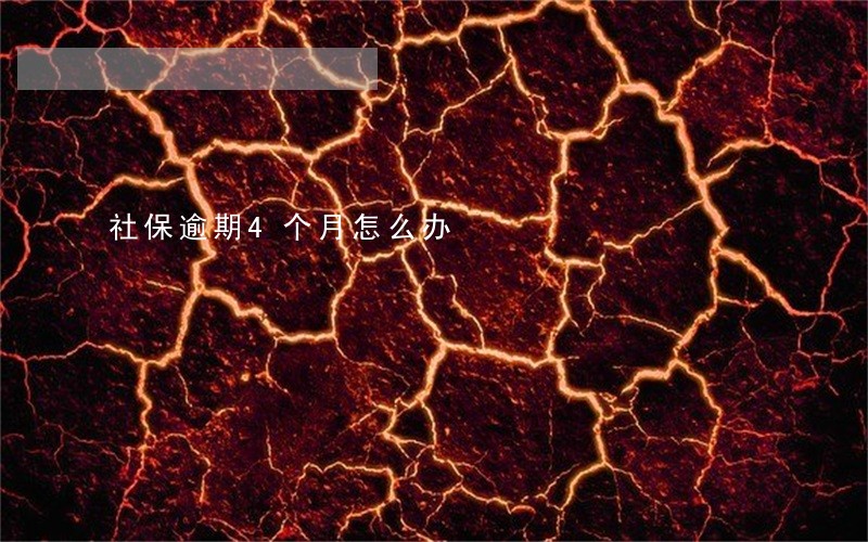 社保逾期4个月怎么办 社保逾期4个月怎么办