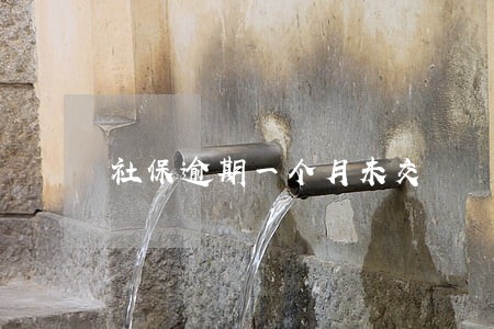 社保逾期一个月未交 社保逾期一个月未交