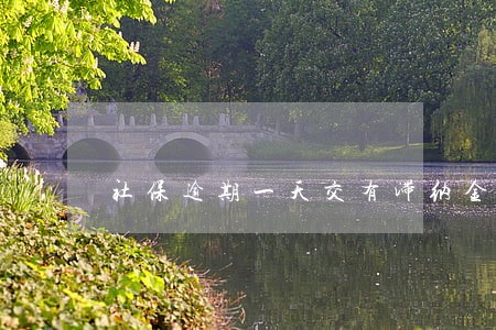社保逾期一天交有滞纳金吗 社保逾期一天交有滞纳金吗