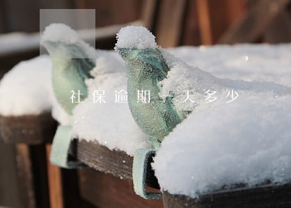 社保逾期一天多少 社保逾期一天多少