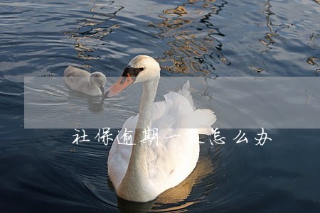 社保逾期一天怎么办 社保逾期一天怎么办