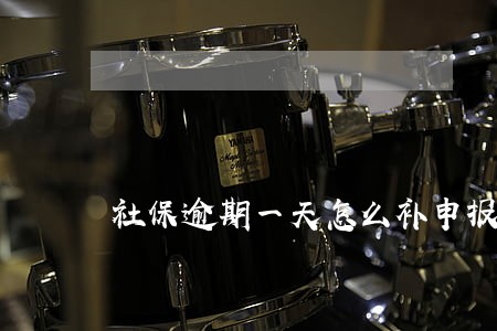 社保逾期一天怎么补申报 社保逾期一天怎么补申报