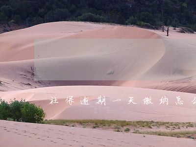 社保逾期一天缴纳怎么办 社保逾期一天缴纳怎么办