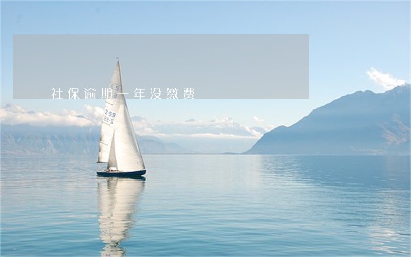 社保逾期一年没缴费 社保逾期一年没缴费