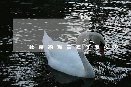 社保逾期三天了怎么办 社保逾期三天了怎么办