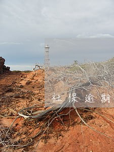 社保逾期三天怎么解决