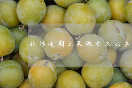 社保逾期三天缴费怎么办
